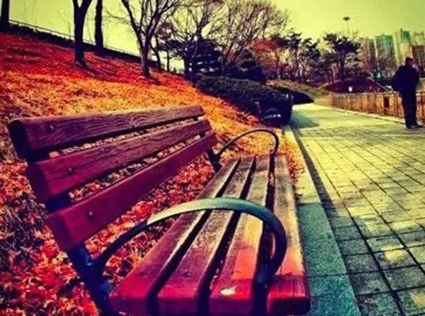 汽车之家岗位职责