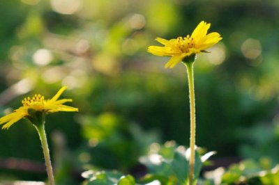 验货主管岗位职责