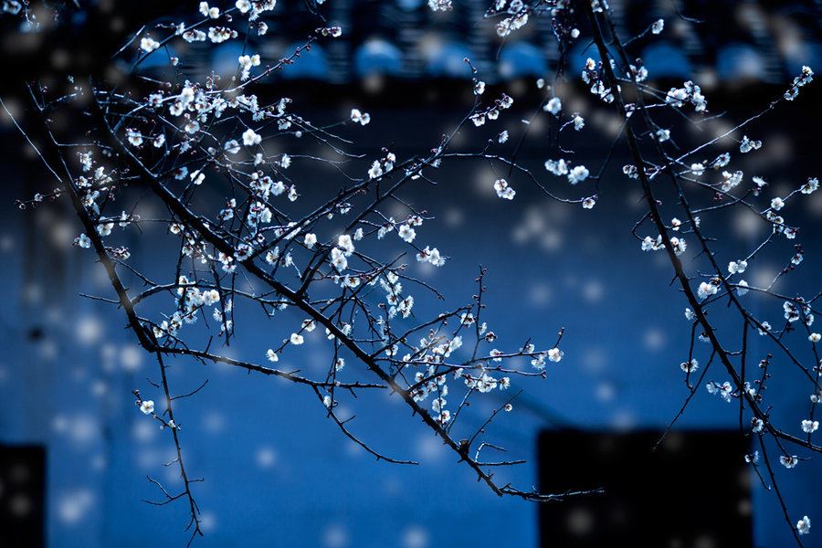 字幕翻译岗位职责