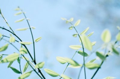 政策研究岗位职责