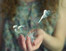 汽车仪表研发岗位职责