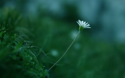 cad制图设计岗位职责