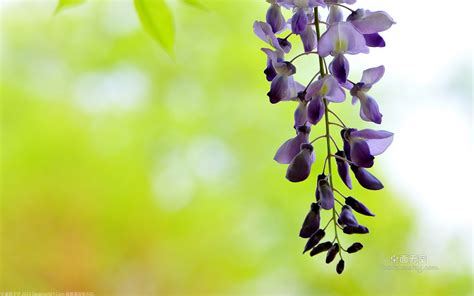 店装设计岗位职责