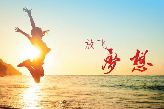 政策专员岗位职责