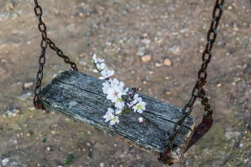 住院部医生岗位职责