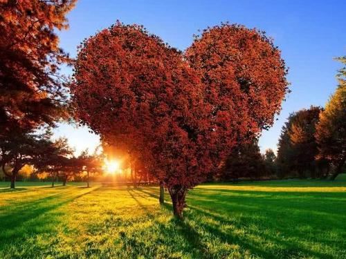 中国工商银行岗位职责