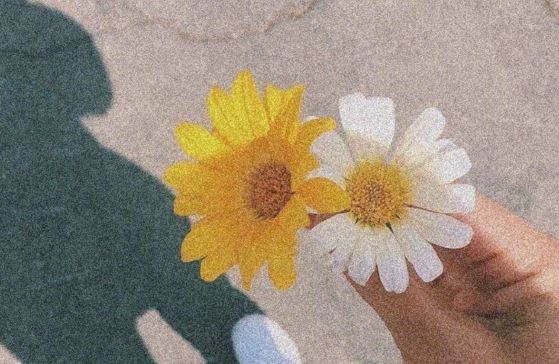 涿州销售经理岗位职责