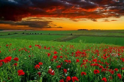 室内装饰工程岗位职责