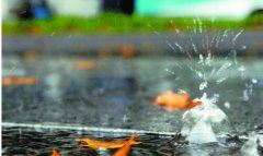 初级行业研究员岗位职责