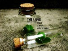 汽车诊断工程师岗位职责