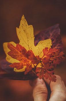 LED营销经理岗位职责