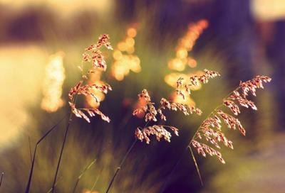 液压工艺岗位职责