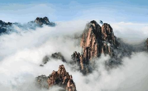 政策研究主管岗位职责