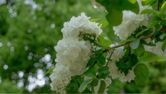 资信管理岗位职责