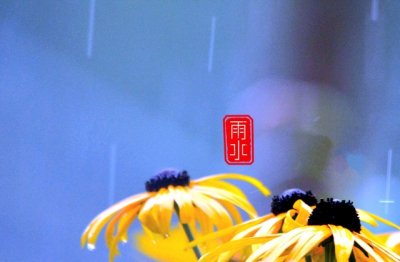 油漆研发岗位职责