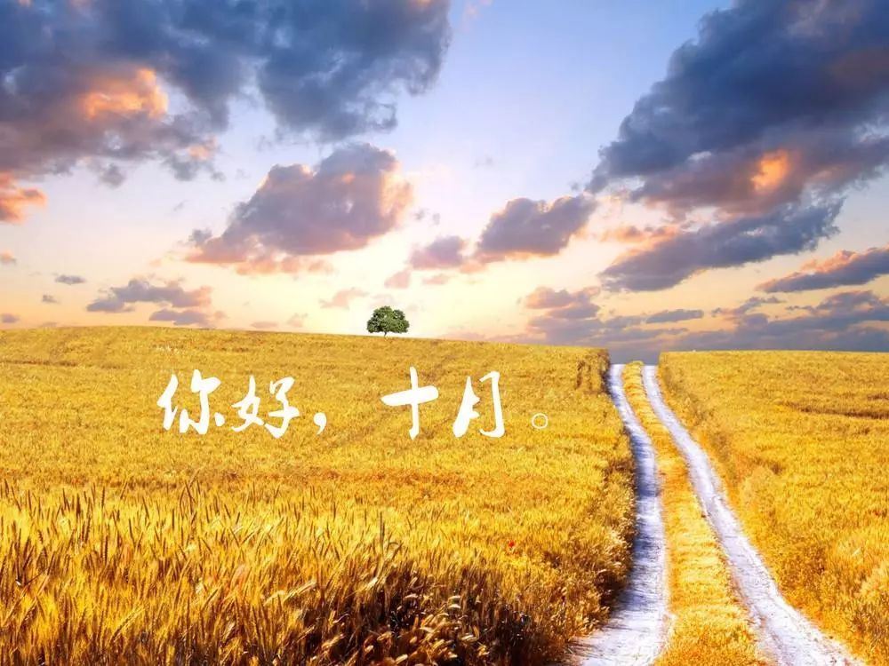 园林工岗位职责