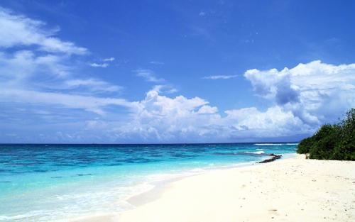 助理行业研究员岗位职责