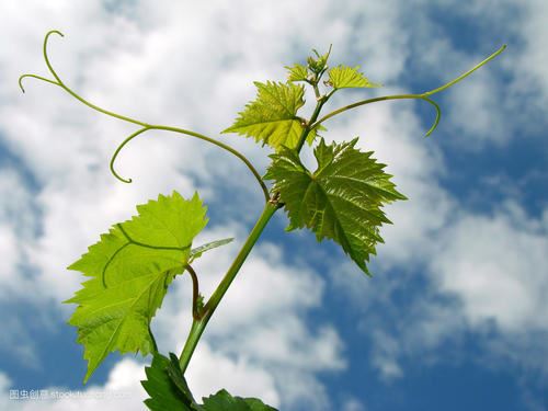 机液压岗位职责