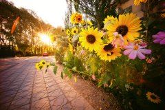 美工作图岗位职责