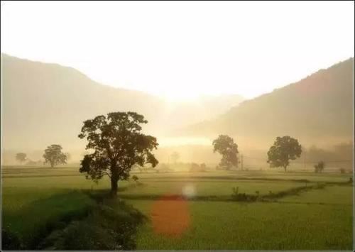 资源管理主管岗位职责