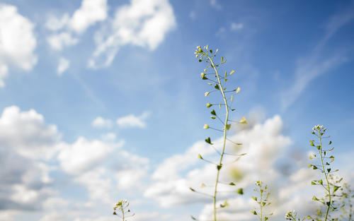 结构资源开发岗位职责