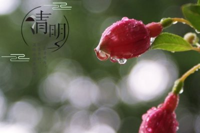 账户经理岗位职责