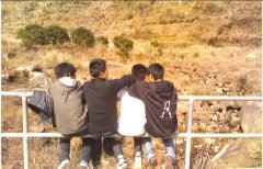 运营官岗位职责