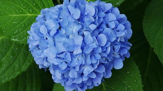 值班保安岗位职责