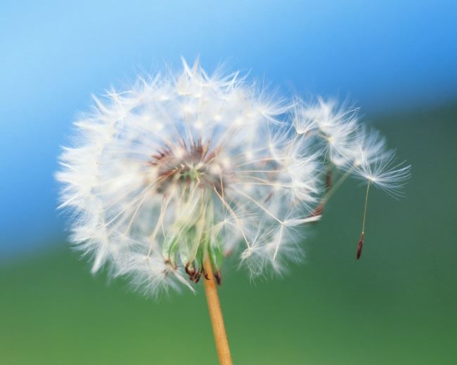 驻场行政助理岗位职责