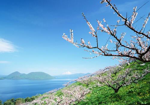 商务专车司机岗位职责