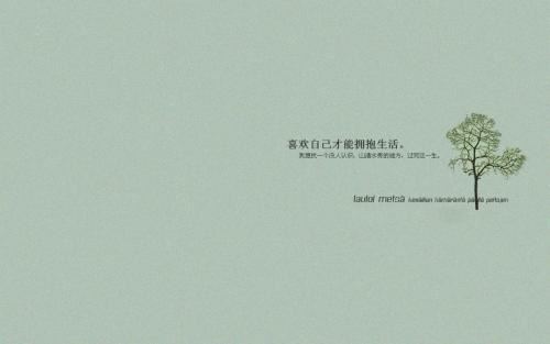 秩序保安岗位职责