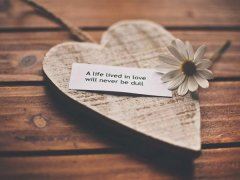 振动筛操作工岗位职责