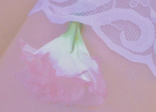 执业医师岗位职责