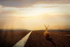 饮料事业部总经理岗位职责