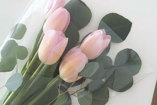 绿化植物设计师岗位职责