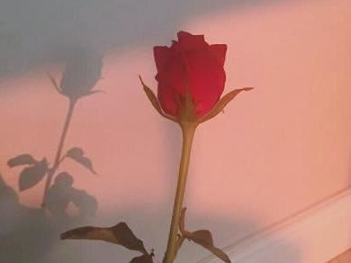 文案撰稿岗位职责