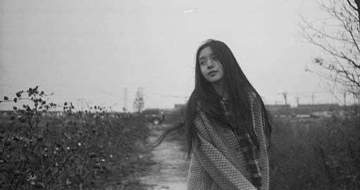 秩序维护主任岗位职责