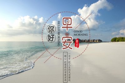 专案助理岗位职责