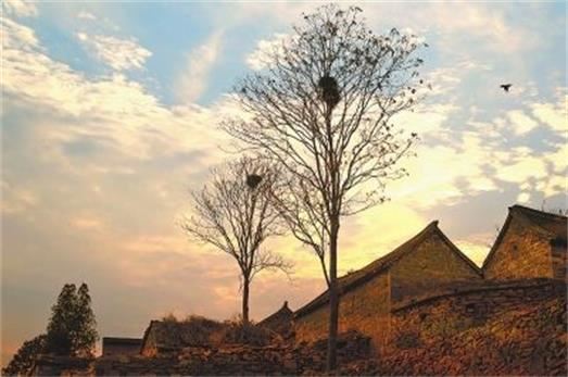 园林预算工程师岗位职责