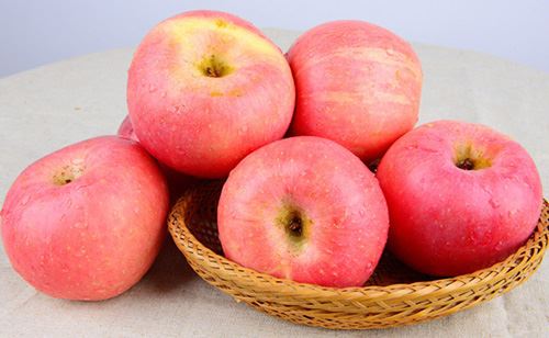 运行管理员岗位职责