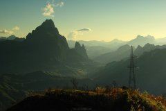 园林部经理岗位职责