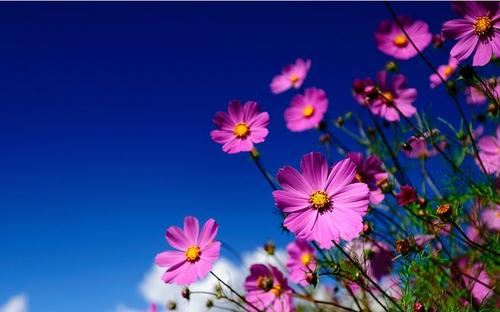 债券经理岗位职责