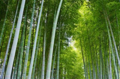 仓库制单岗位职责