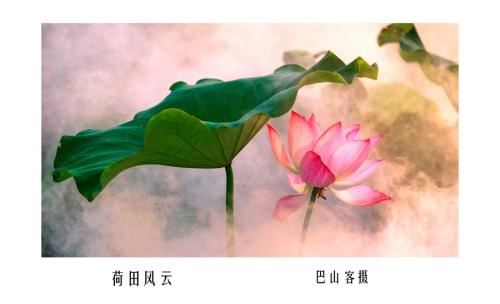 产品政策研究岗位职责