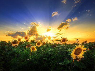 工程部资料员岗位职责