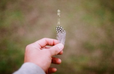 招商租赁岗位职责