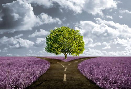 设计资料员岗位职责