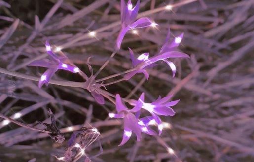 诊所负责人岗位职责