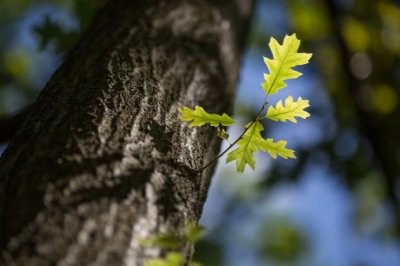 综合布线销售岗位职责
