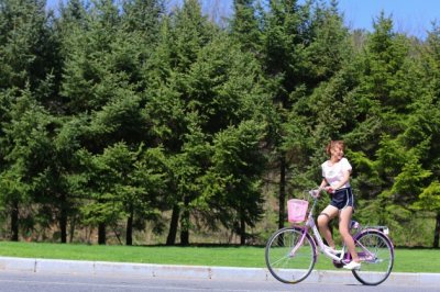 高级硬件设计师岗位职责